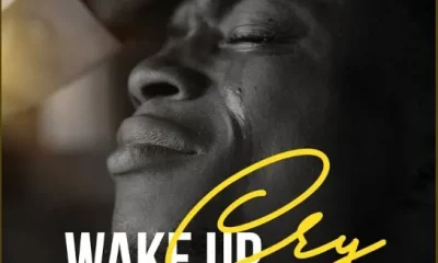 image of Ebuka Songs – Awake Sleeping Soldier