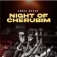 image of Ebuka Emmanuel (Ebuka Songs) – Night Of Cherubim