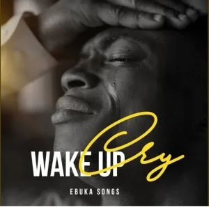 image of Ebuka Songs – Wake Up Cry
