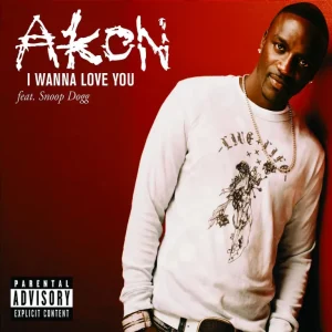 image of Akon Ft. Snoop Dogg – I Wanna Love You (Instrumental)