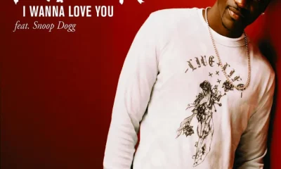 image of Akon Ft. Snoop Dogg – I Wanna Love You (Instrumental)