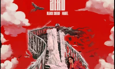 image of Black Sherif – Zero Ft. Mabel