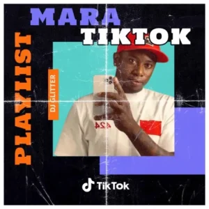 image of DJ Glitter – TikTok Mara Playlist (feat. Azzi Beat)