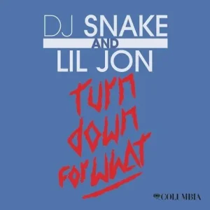 image of DJ Snake & Lil Jon – Turn Down For What (Instrumental)