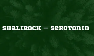 image of Shalirock – Serotonin