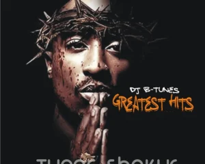 image of Best Of Tupac Shakur Songs (2pac Songs)