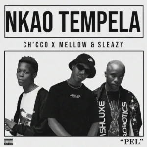 image of Chicco Ft. Mellow & Sleazy – Nkao Tempela