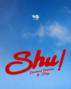 image of Diamond Platnumz – Shu! Ft. Chley