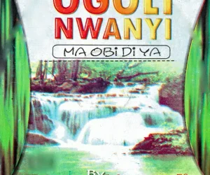 image of Evang. Nnamdi – Agu N”Eche Mba