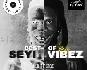 image of Seyi Vibez Latest Songs Mix 2024