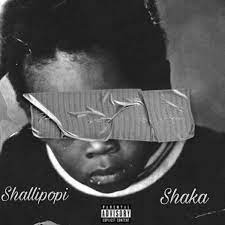 image of Shallipopi – Shaka