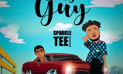 image of Sparkle Tee – My Guy