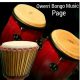 image of Best Owerri Bongo Music (Bongo Songs Mix)