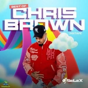 image of DJ Selex Best Of Chris Brown Mixtape