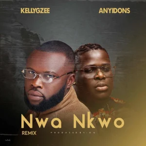 image of Kellygzee ft. Anyidons – Nwa Nkwo (Remix)